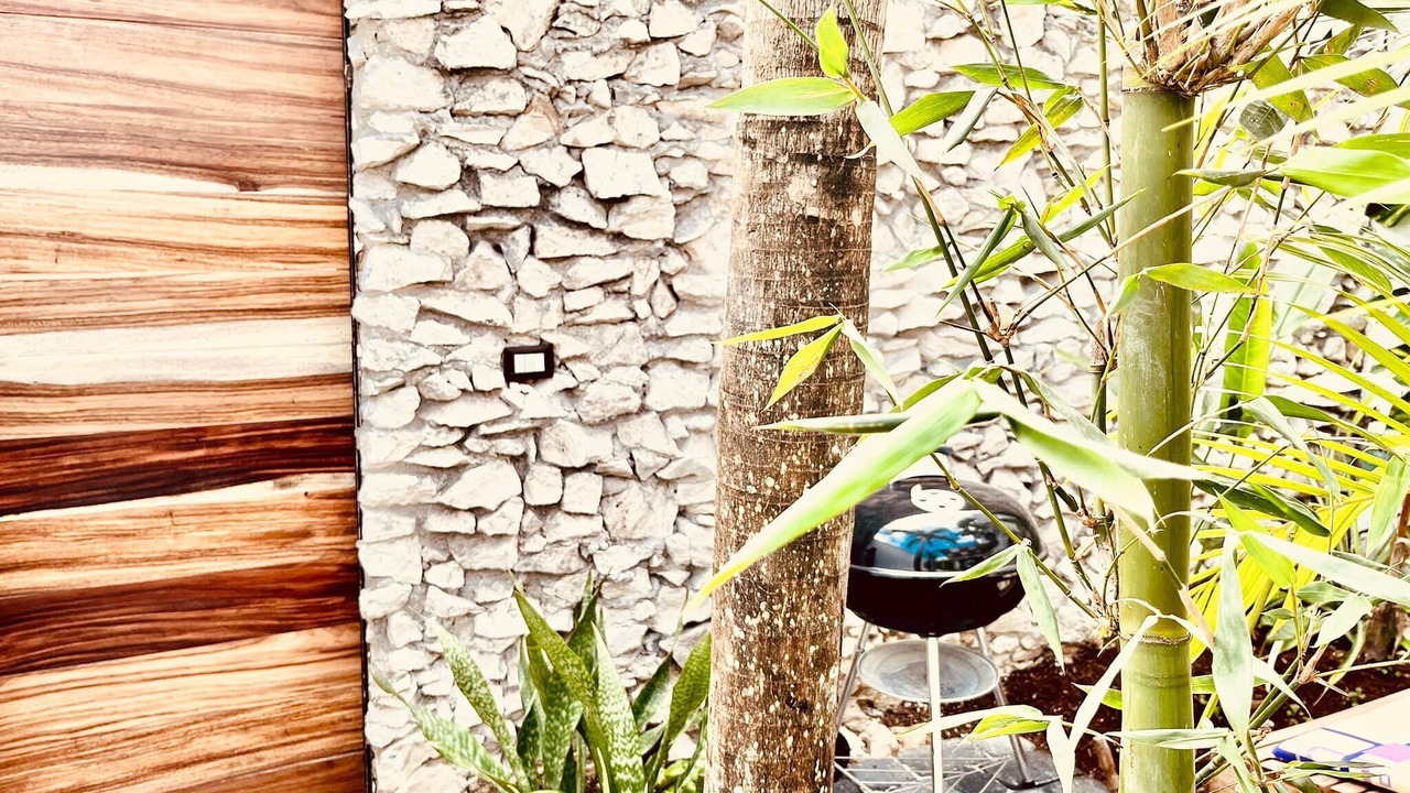 Photo of Outdoor in Puerto Juarez