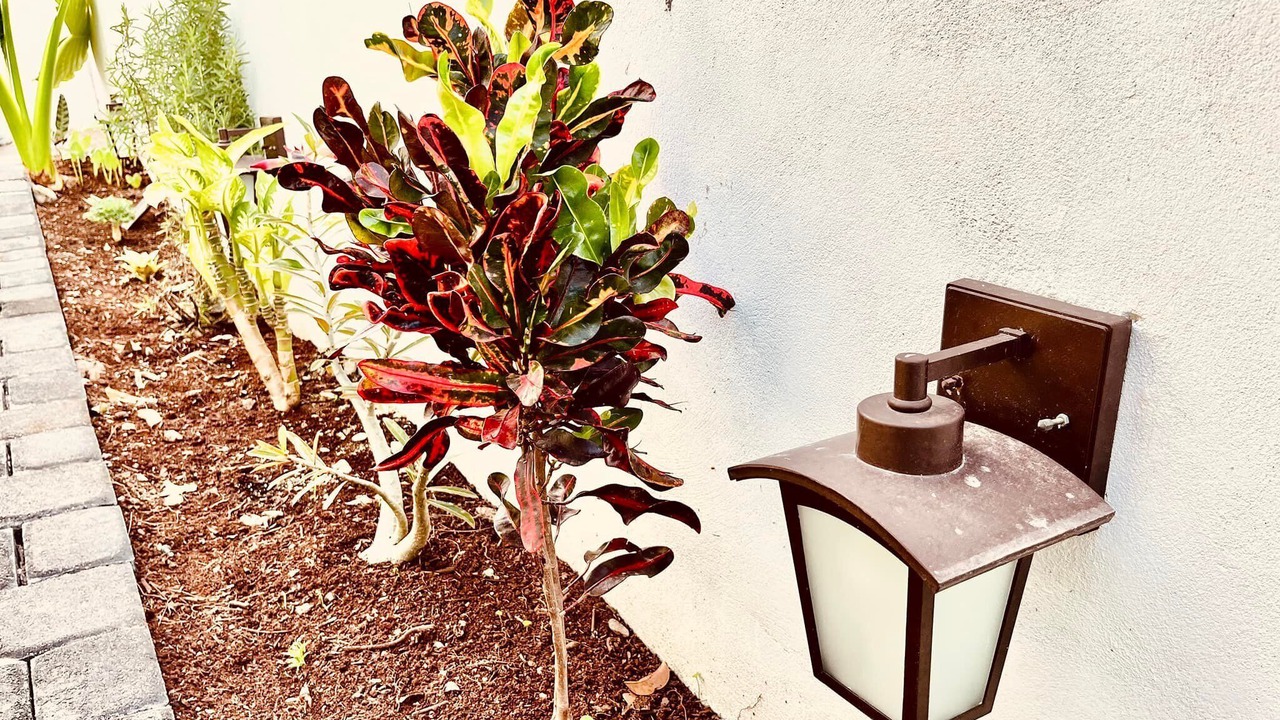 Photo of Outdoor in Puerto Juarez