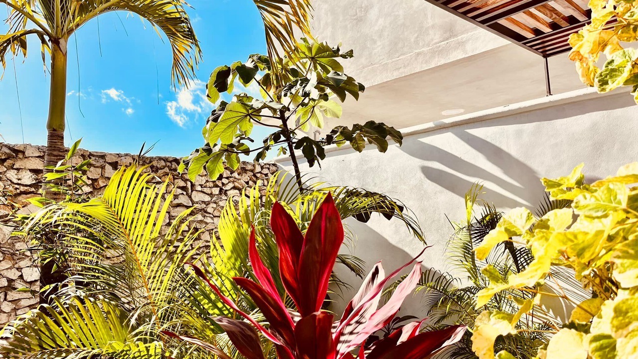 Photo of Outdoor in Puerto Juarez