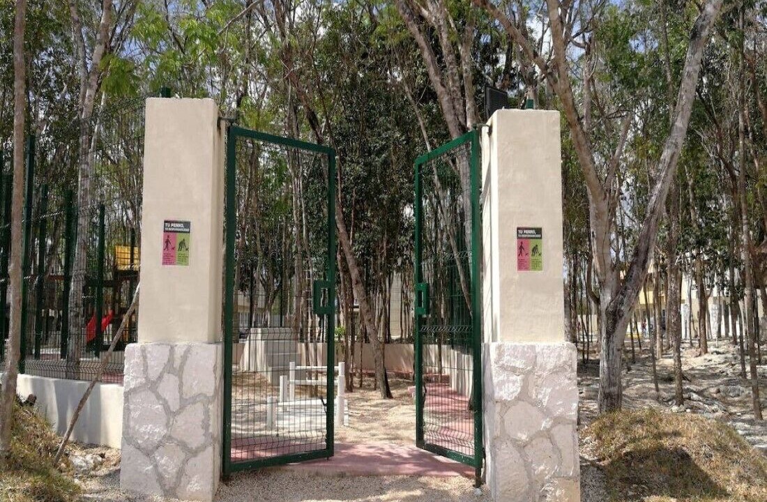 Photo of Outdoor in Puerto Juarez