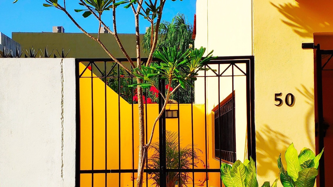 Photo of Outdoor in Puerto Juarez