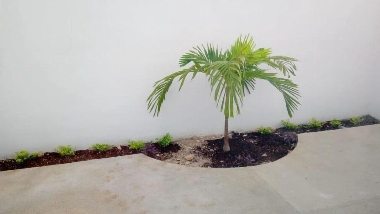 Photo of Outdoor in Puerto Juarez