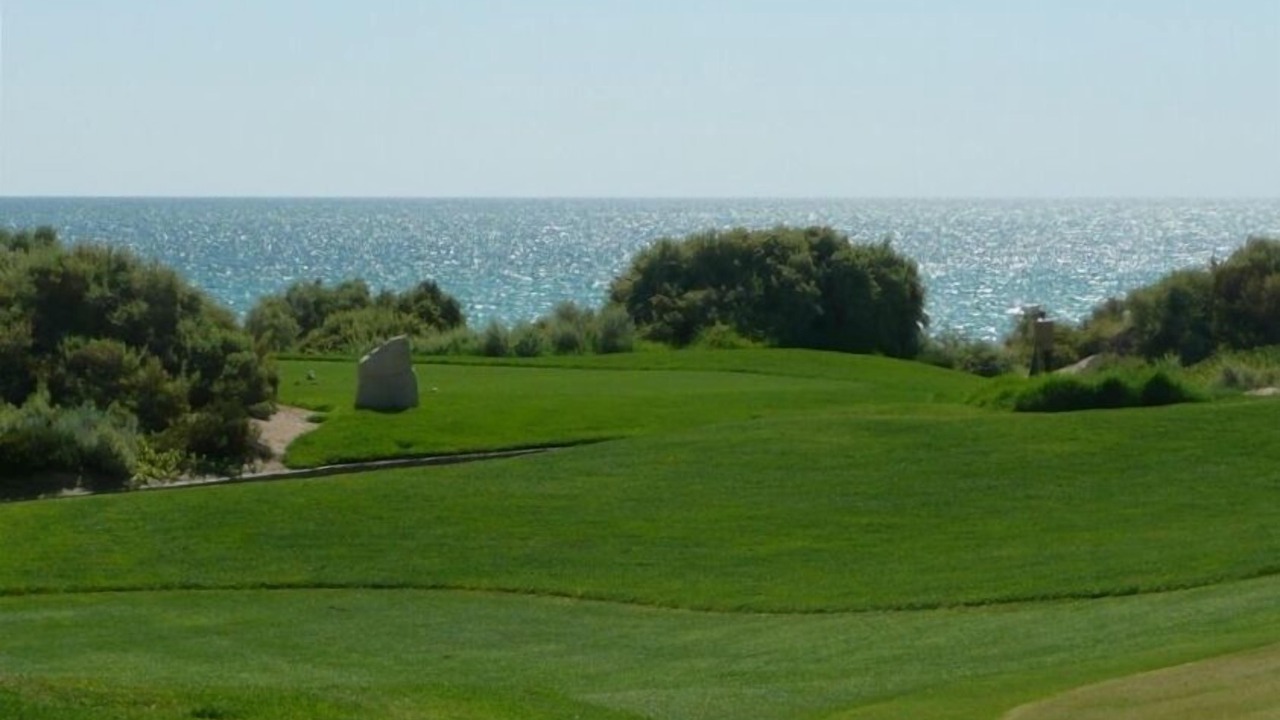 Photo of Others in Puerto Penasco
