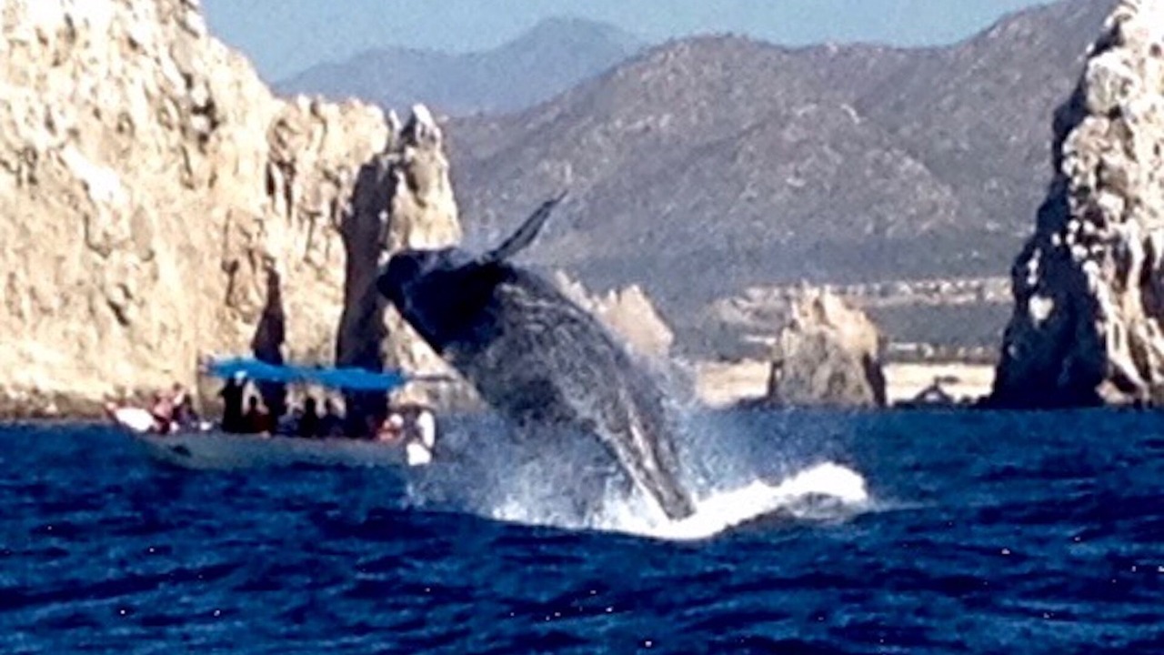 Photo of Others in Cabo Bello
