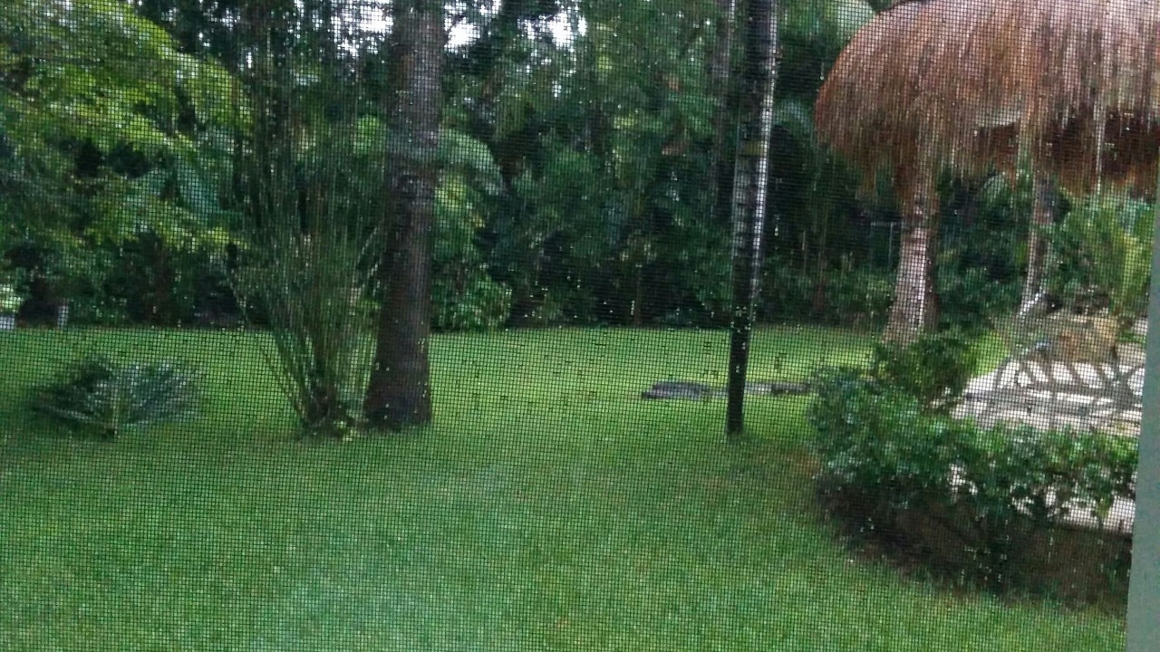 Photo of Outdoor in Playacar