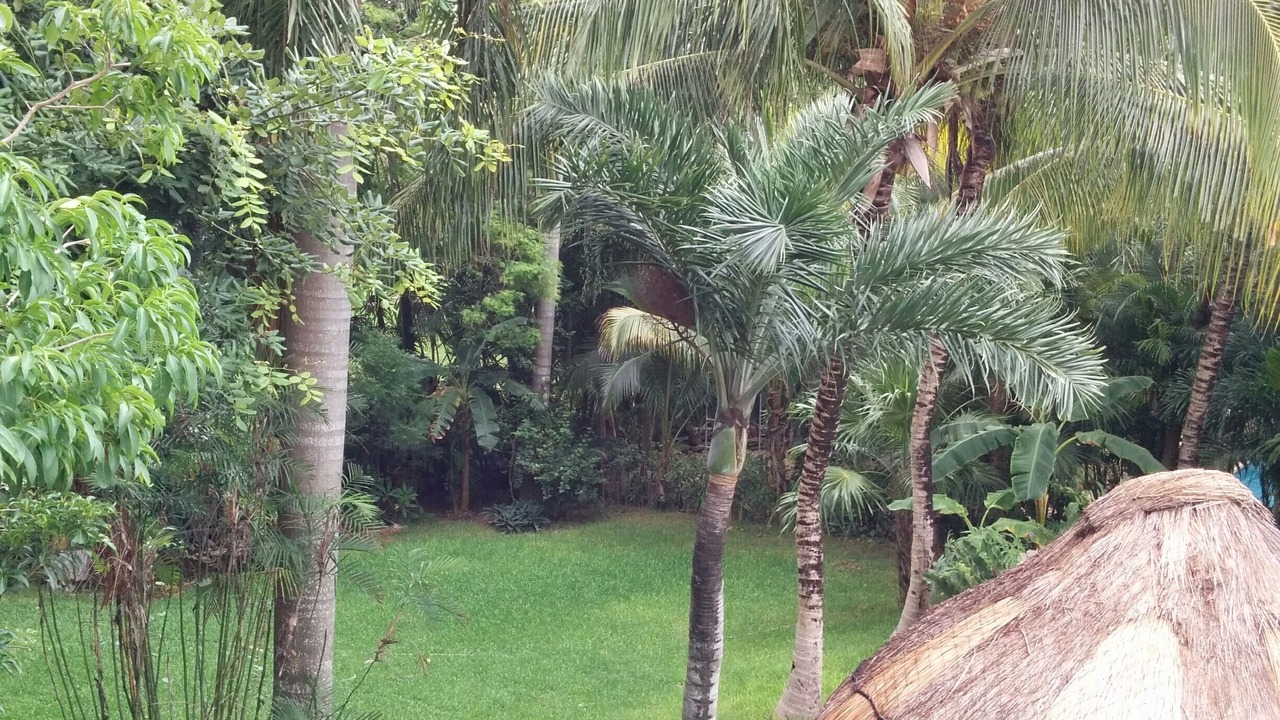 Photo of Outdoor in Playacar