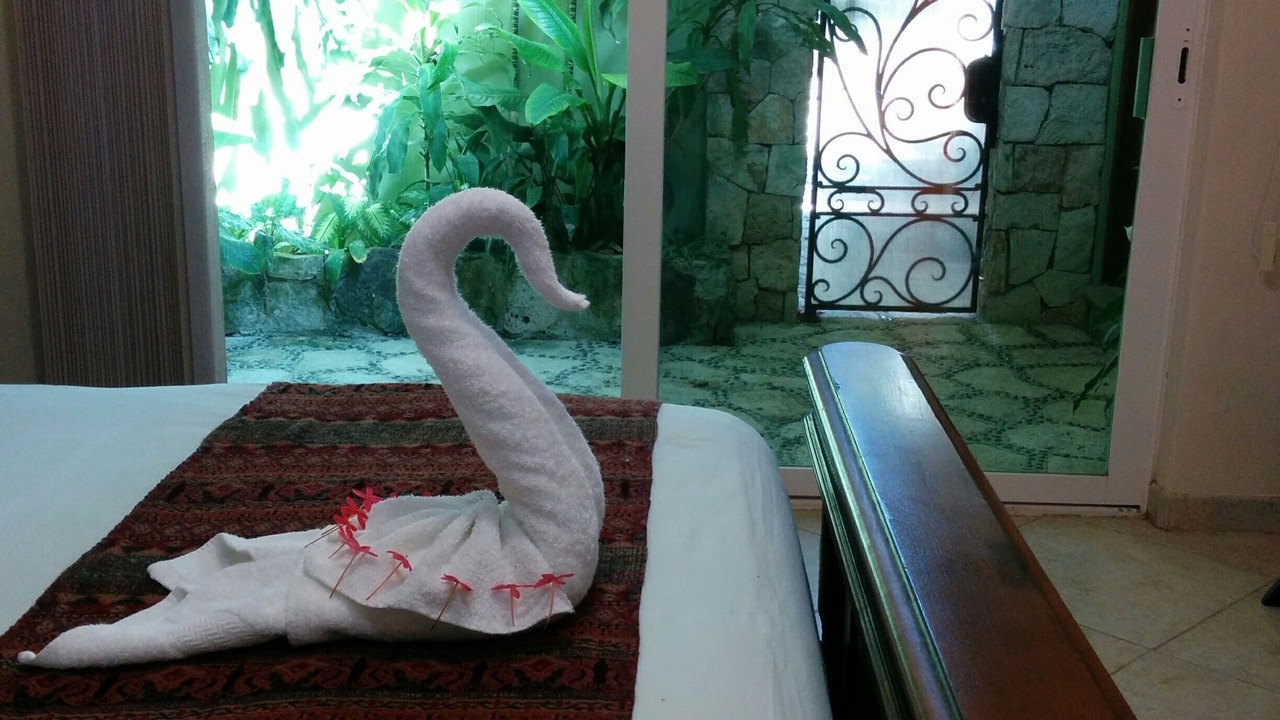 Photo of Others in Playacar