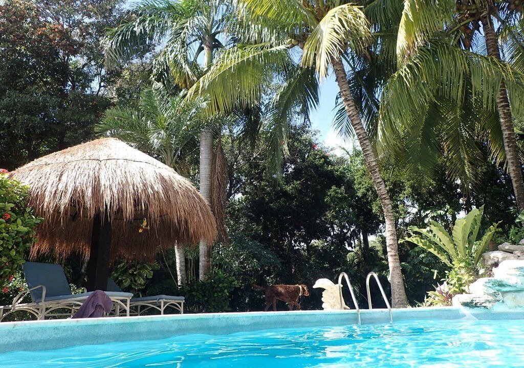 Photo of Outdoor in Playacar