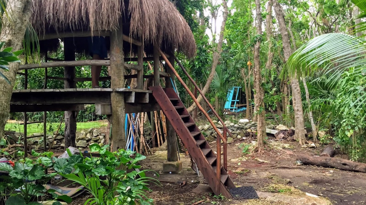 Photo of Others in Playacar