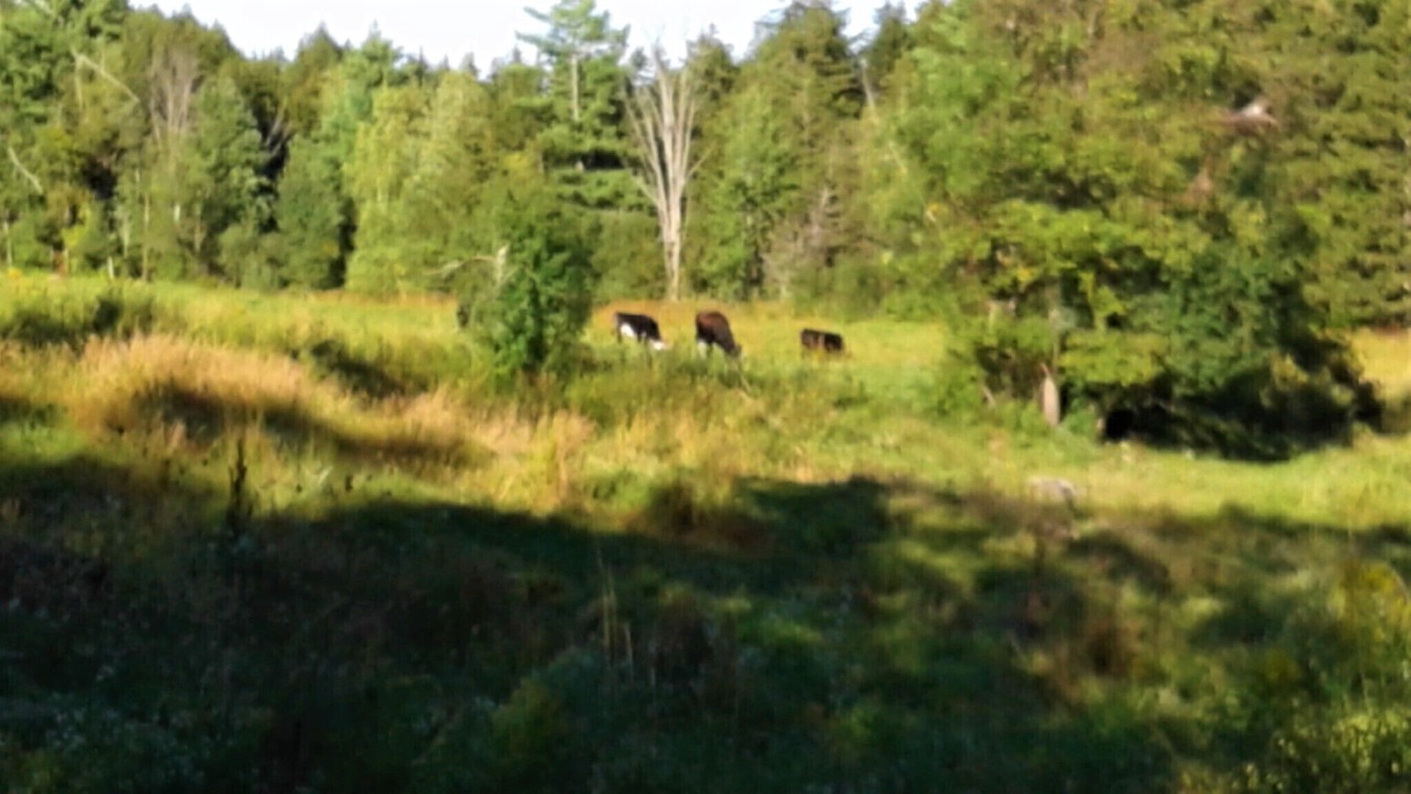 Photo of Others in Waitsfield