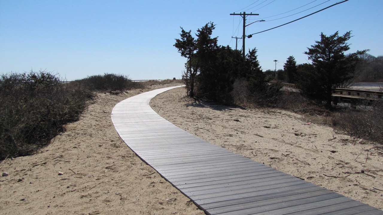 Photo of Others in Hyannis
