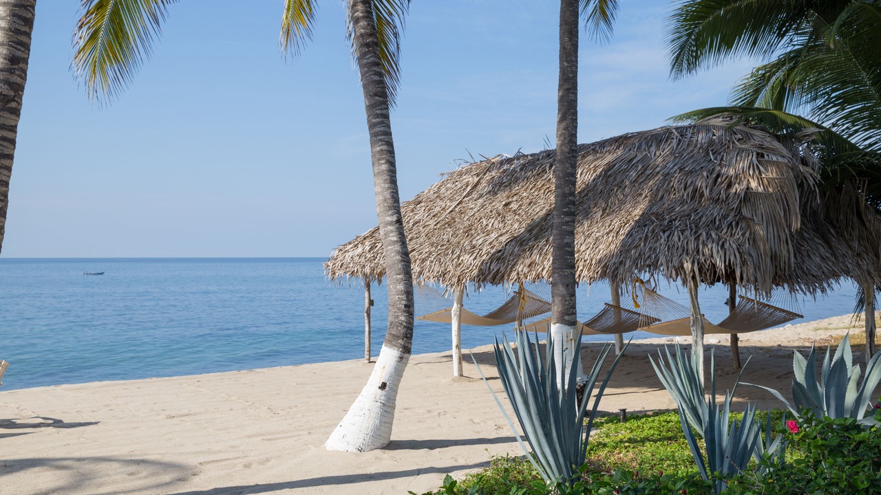 Photo of Others in Punta de Mita