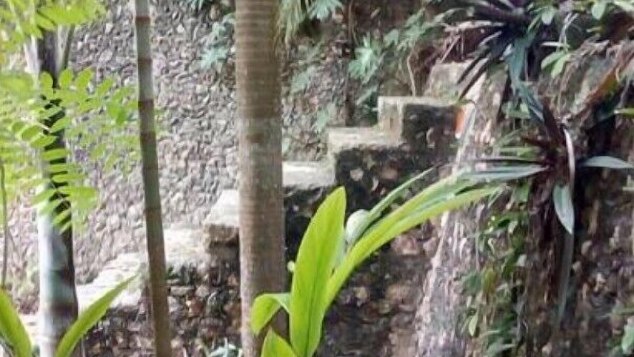 Photo of Outdoor in Tulum City Center