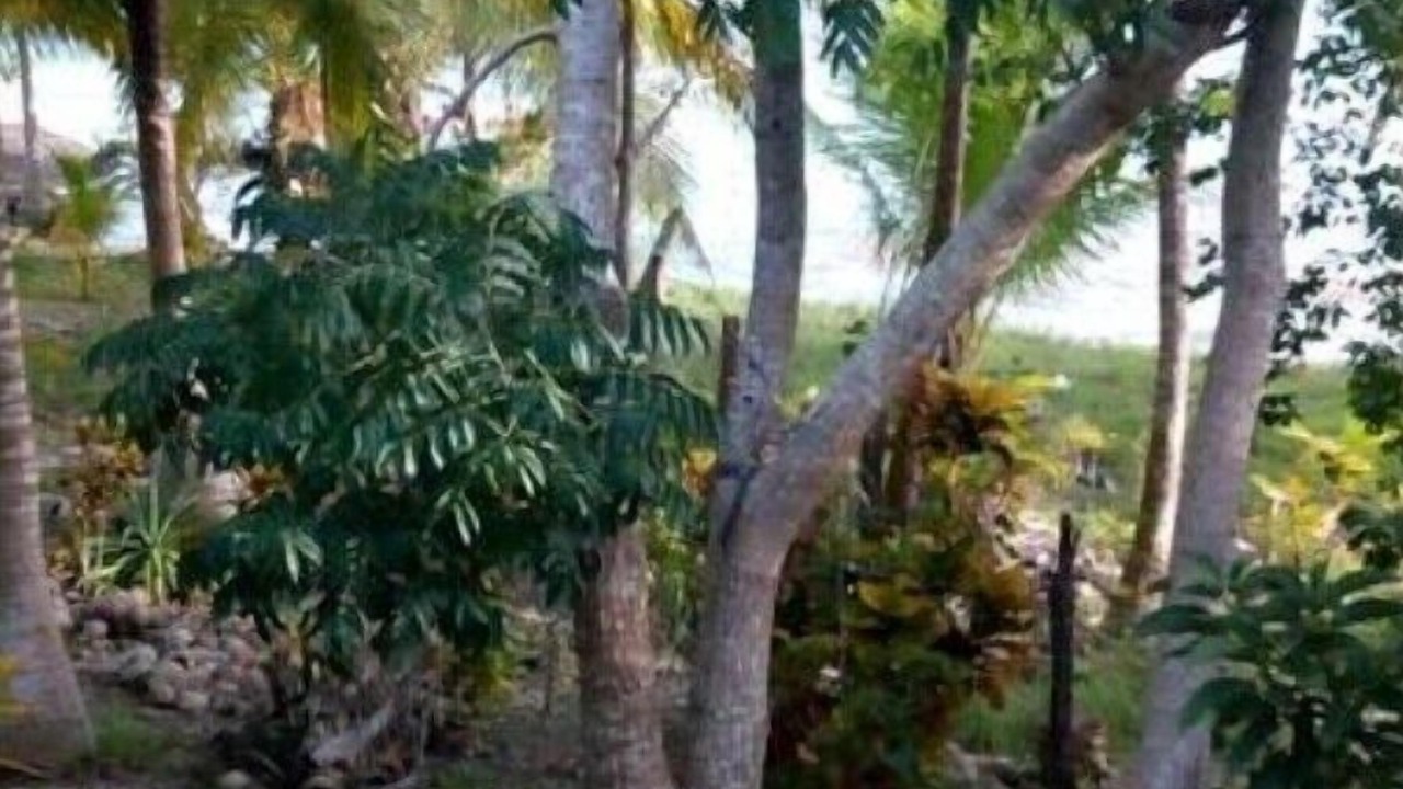 Photo of Outdoor in Tulum City Center
