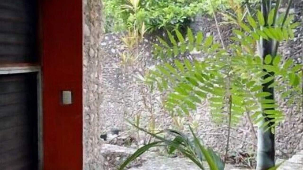 Photo of Outdoor in Tulum City Center