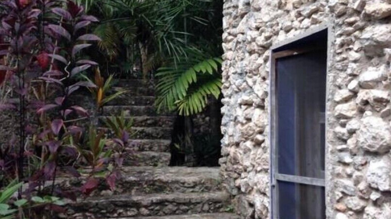 Photo of Outdoor in Tulum City Center