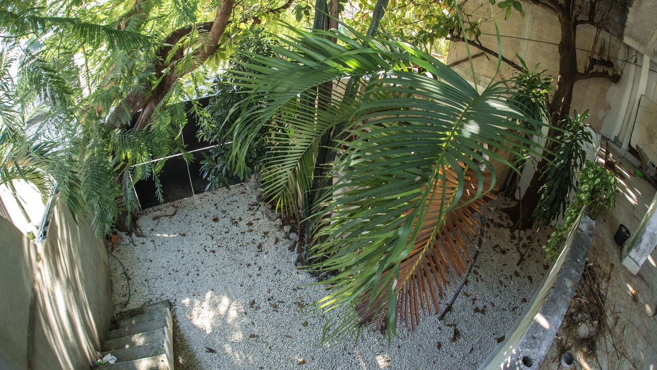 Photo of Outdoor in Gonzalo Guerrero