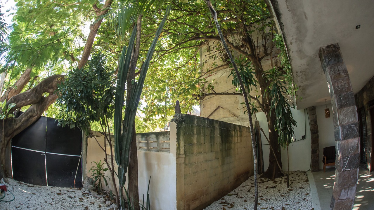 Photo of Outdoor in Gonzalo Guerrero