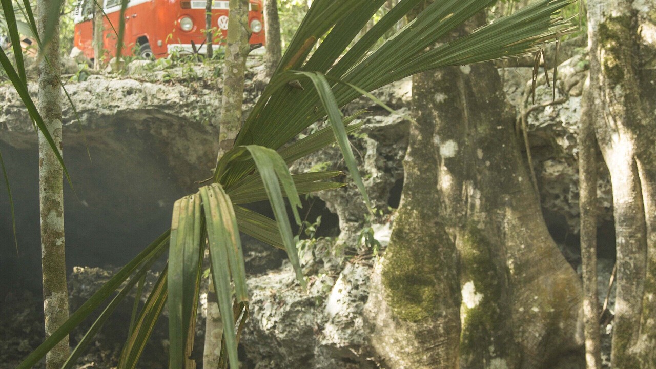 Photo of Outdoor in Tulum City Center