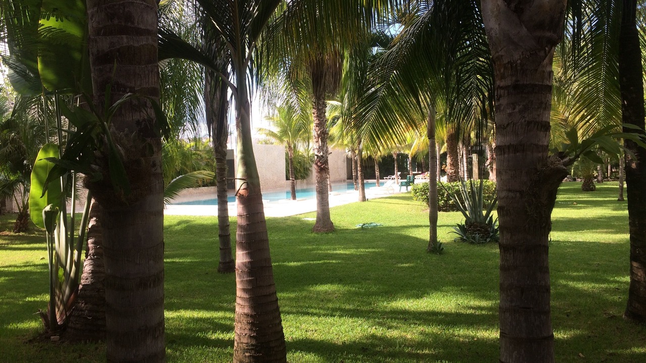 Photo of Outdoor in Tulum City Center
