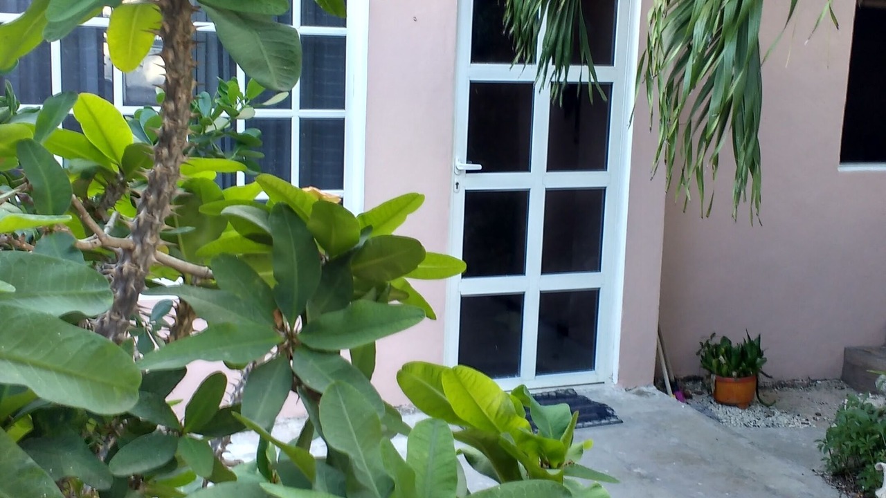 Photo of Outdoor in Ejidal