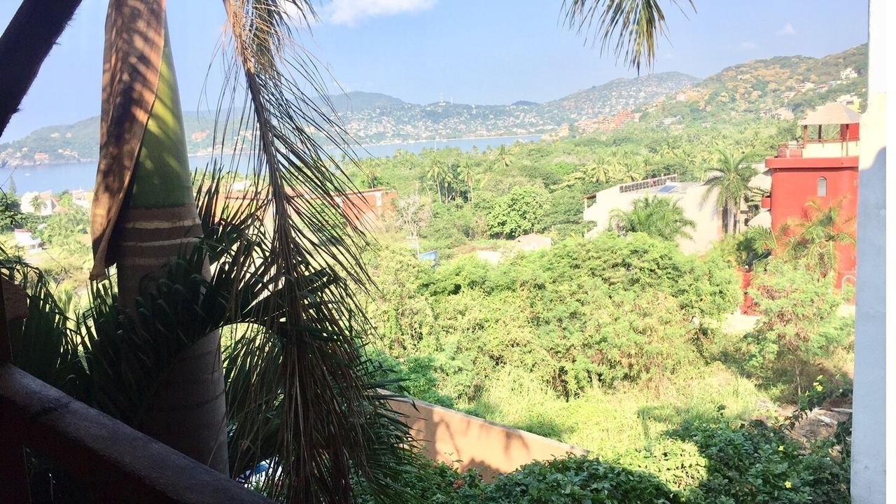 Photo of Outdoor in Playa Las Gatas