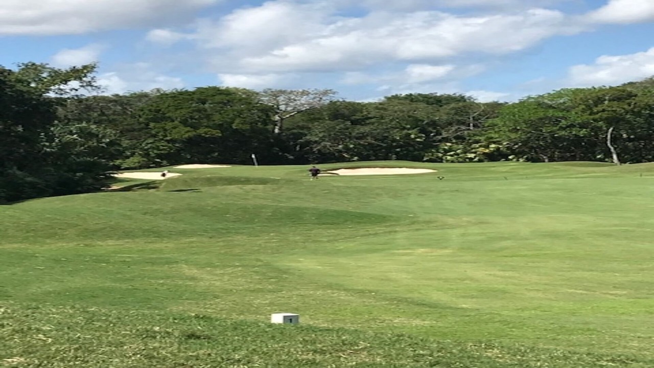 Photo of Others in Playacar