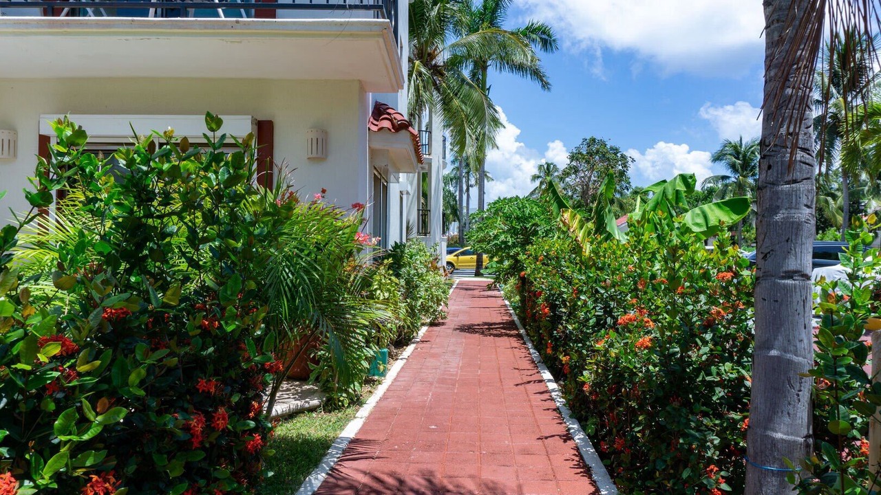 Photo of Outdoor in Playacar