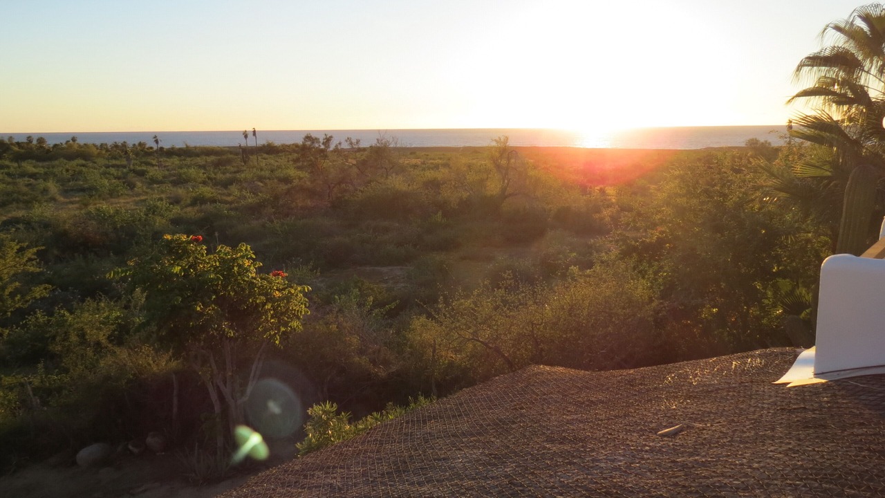 Photo of Outdoor in Todos Santos