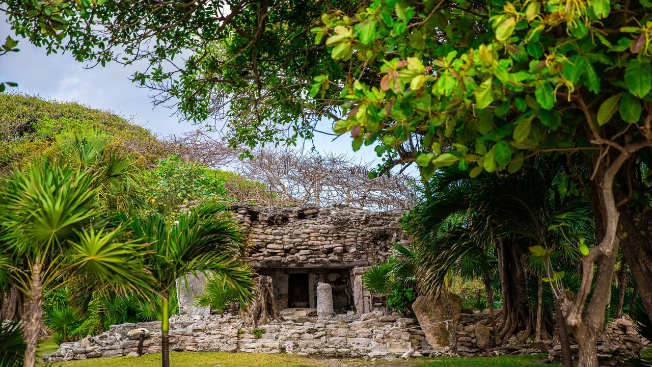 Photo of Outdoor in Playacar Fase I