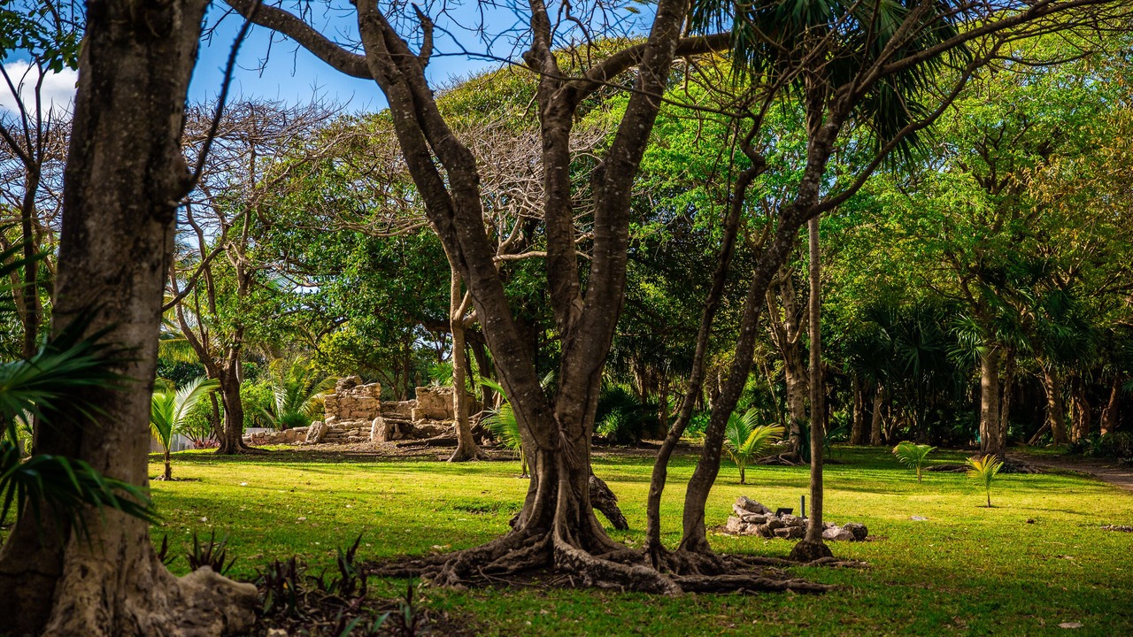 Photo of Outdoor in Playacar Fase I