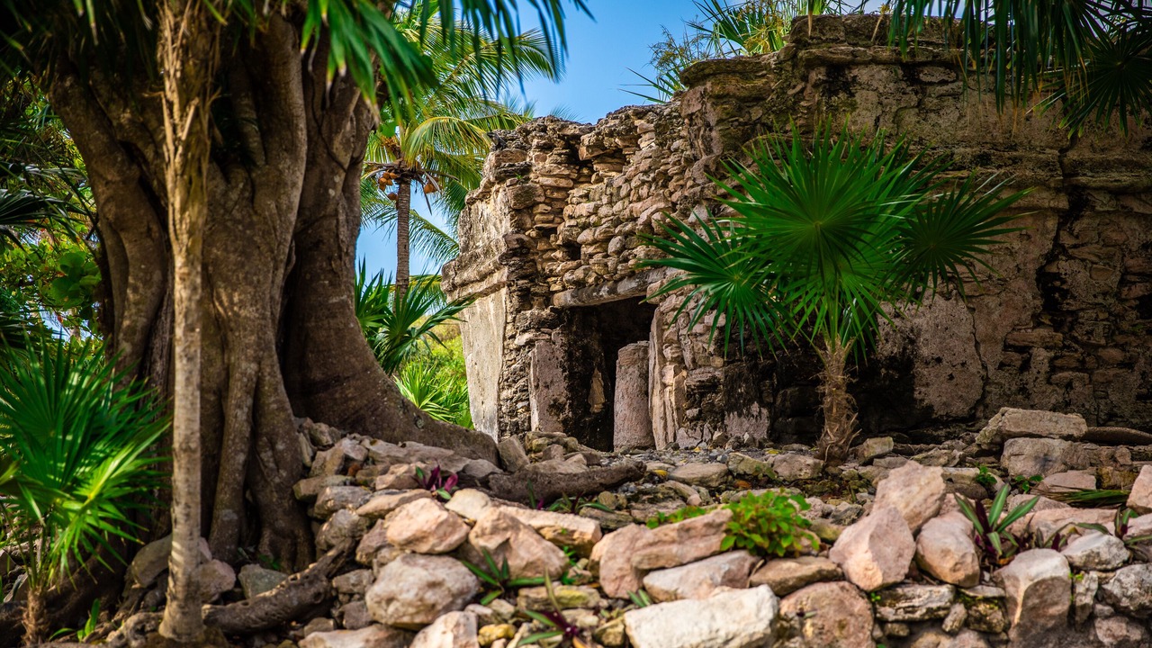 Photo of Outdoor in Playacar Fase I