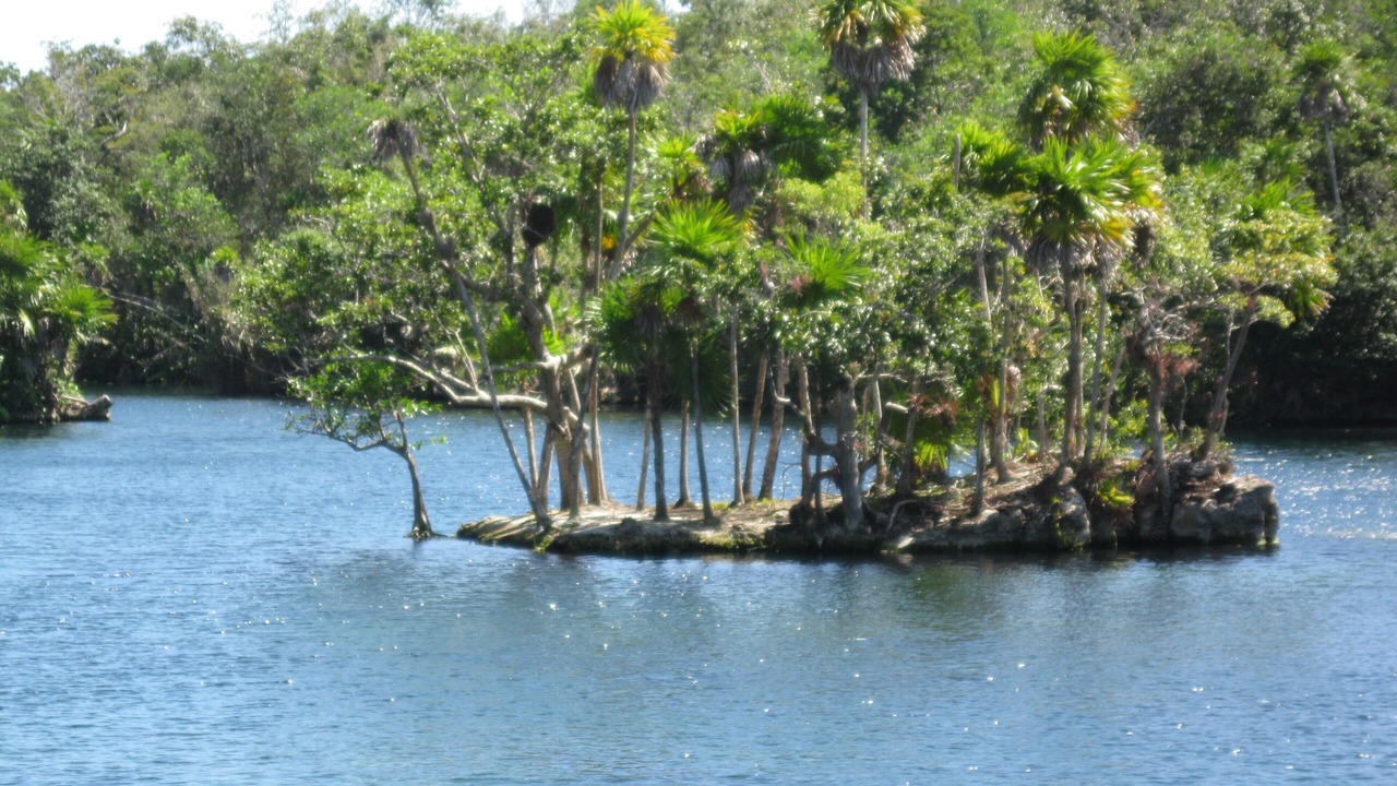 Photo of Outdoor in Villa Juarez