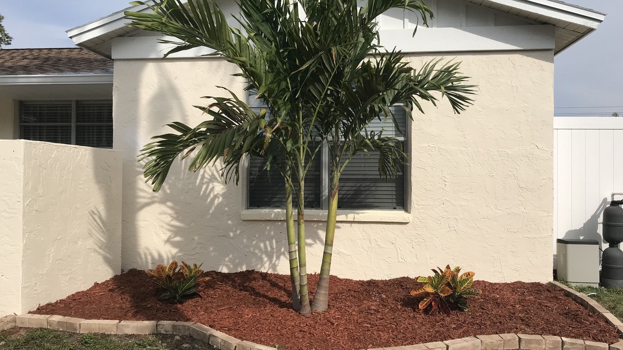 Photo of Outdoor in Bradenton