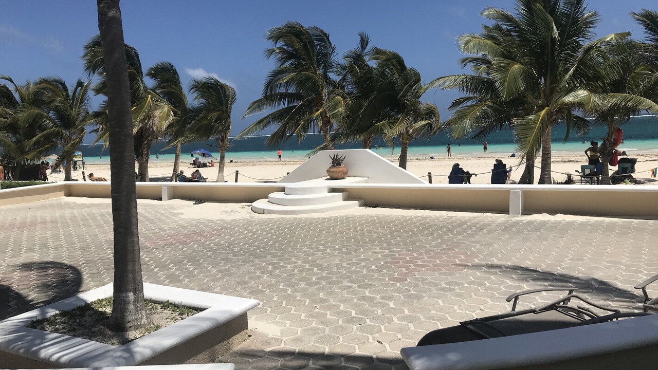 Photo of Others in Puerto Morelos