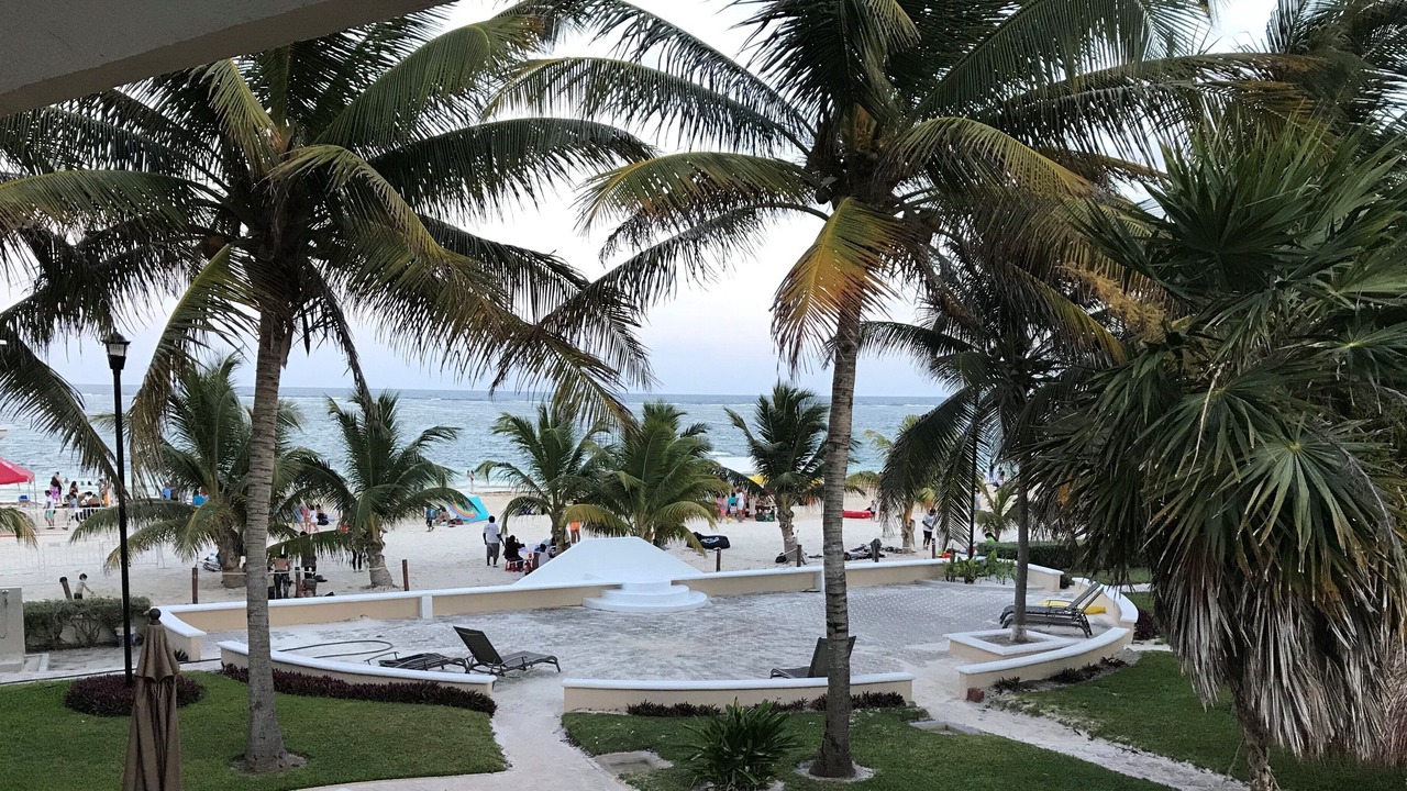 Photo of Others in Puerto Morelos