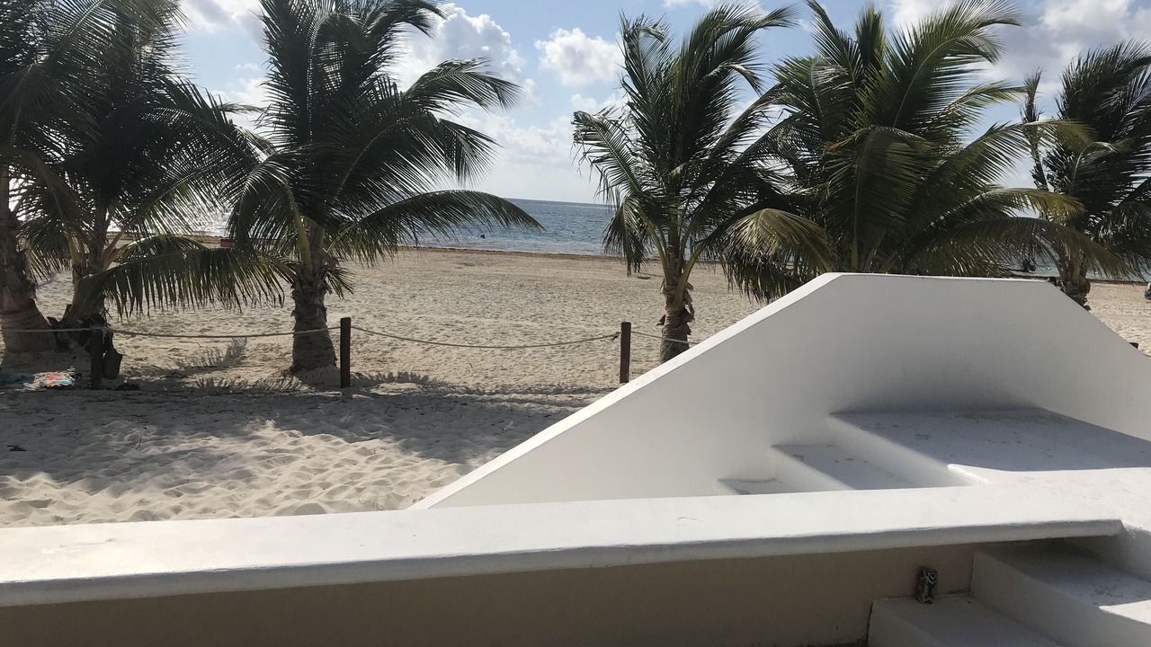 Photo of Others in Puerto Morelos