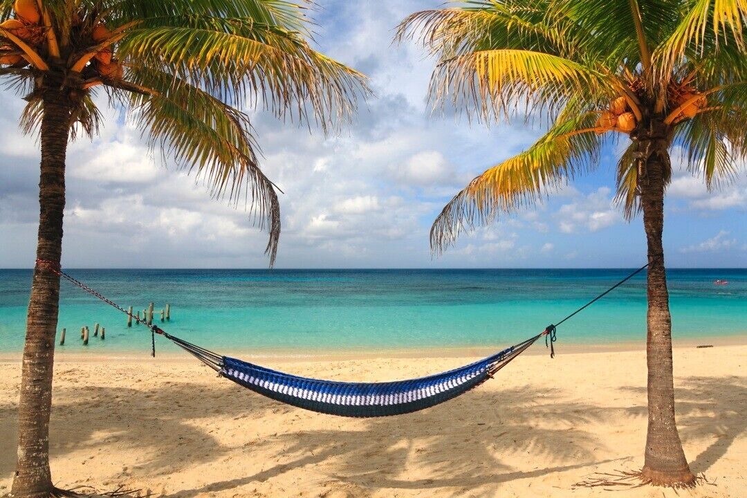 Photo of Others in Downtown Cancun