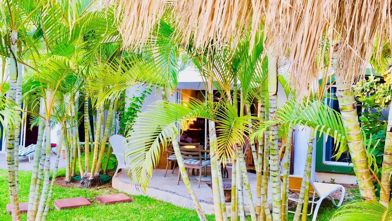 Photo of Patio Balcony in Playacar