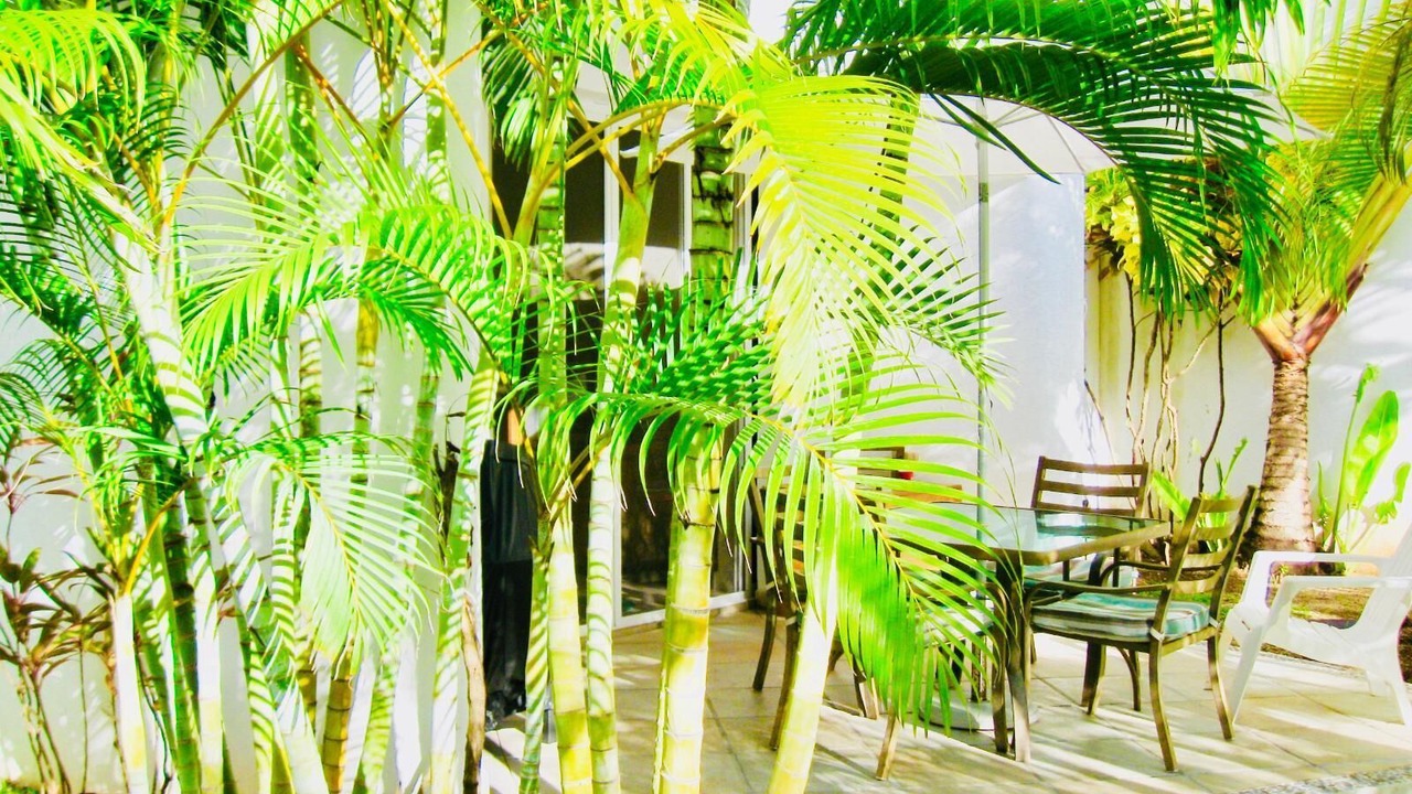 Photo of Patio Balcony in Playacar
