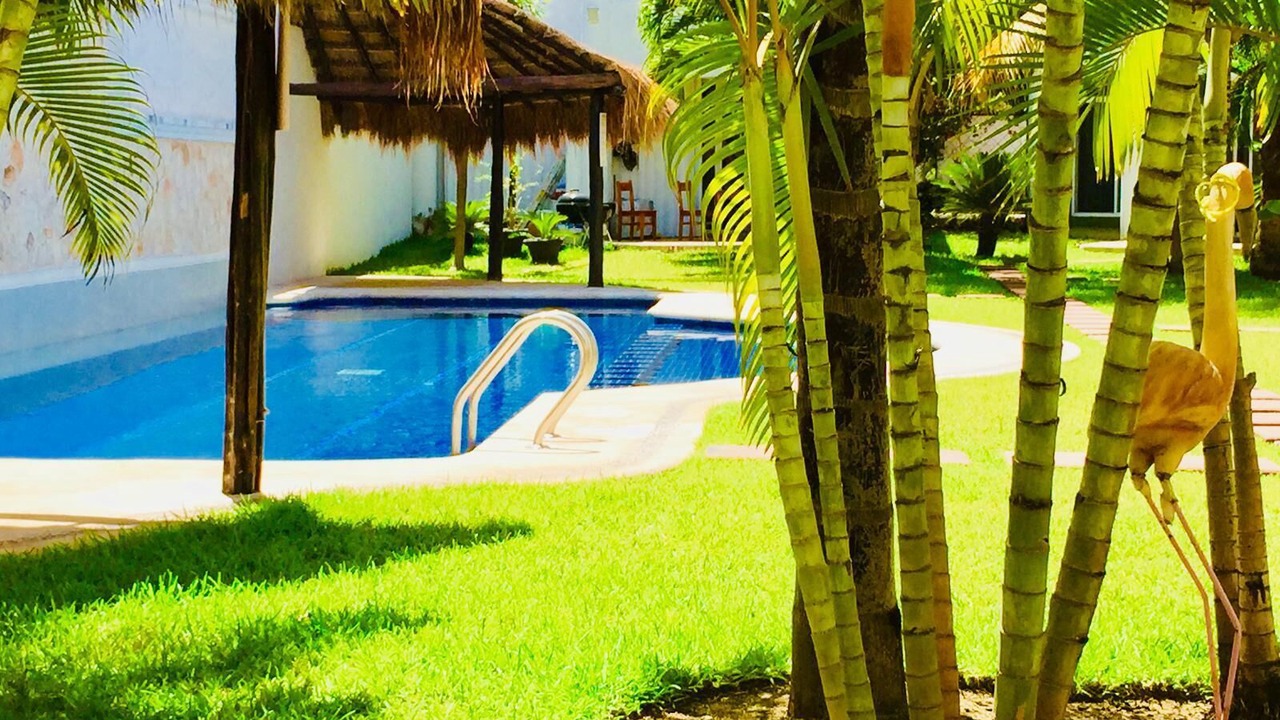 Photo of Outdoor in Playacar