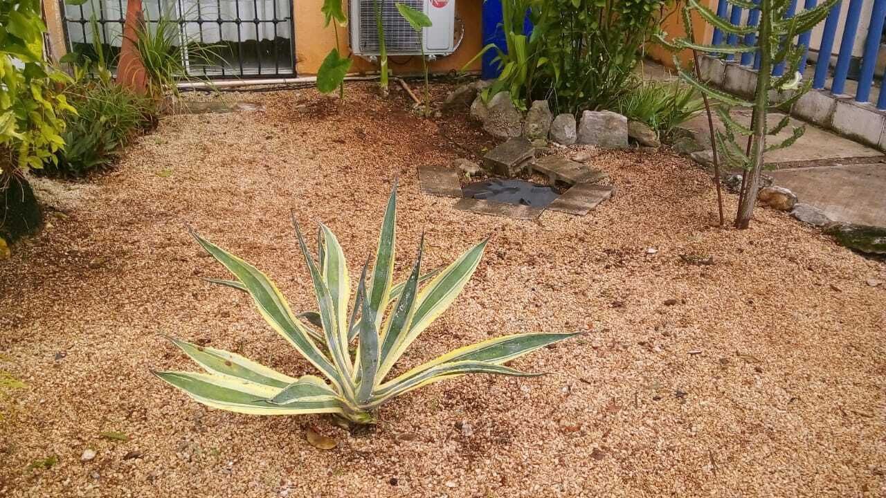 Photo of Outdoor in Villa Juarez
