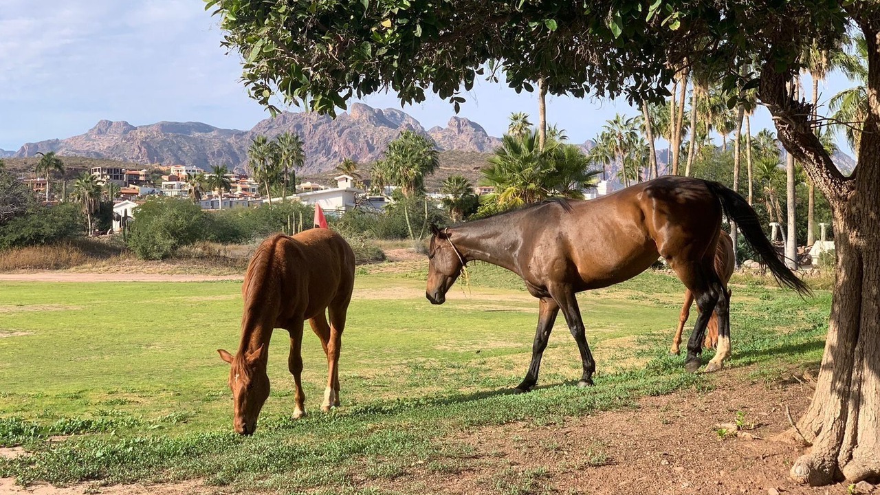 Photo of Others in San Carlos