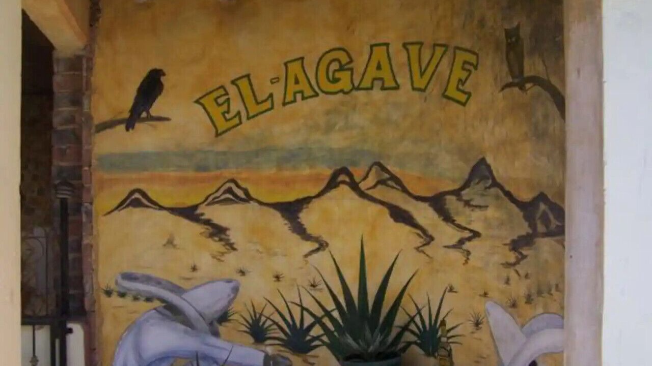 Photo of Outdoor in El Puerto