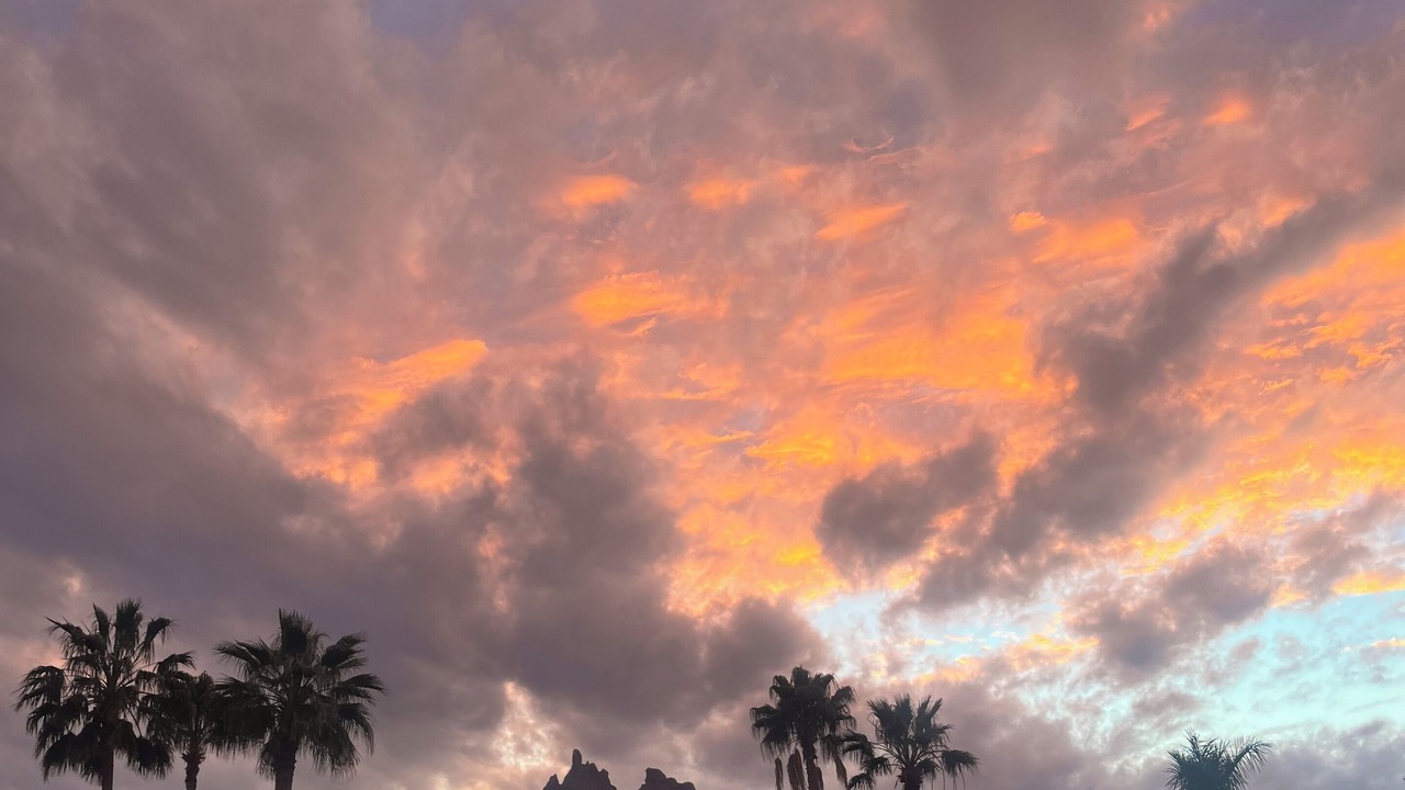 Photo of Outdoor in San Carlos