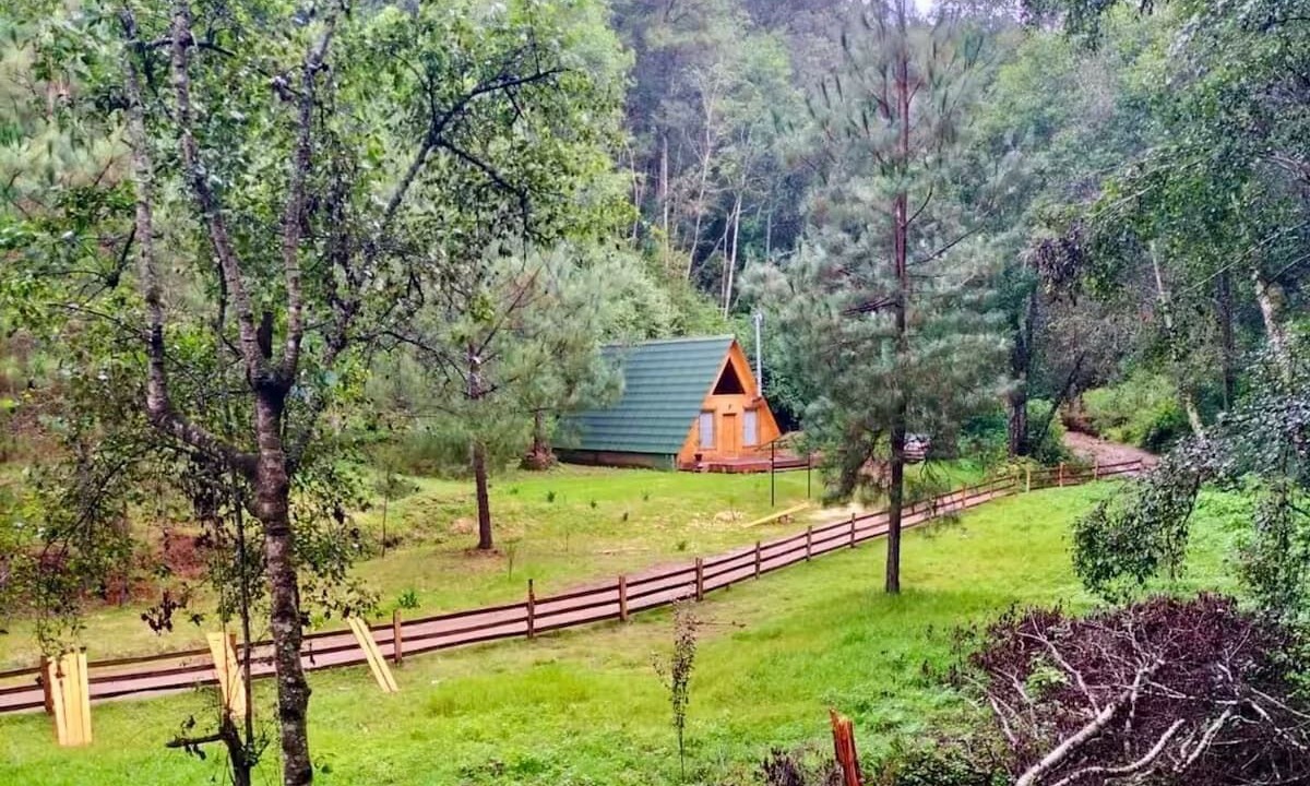 Photo of Outdoor in San Jose del Pacifico
