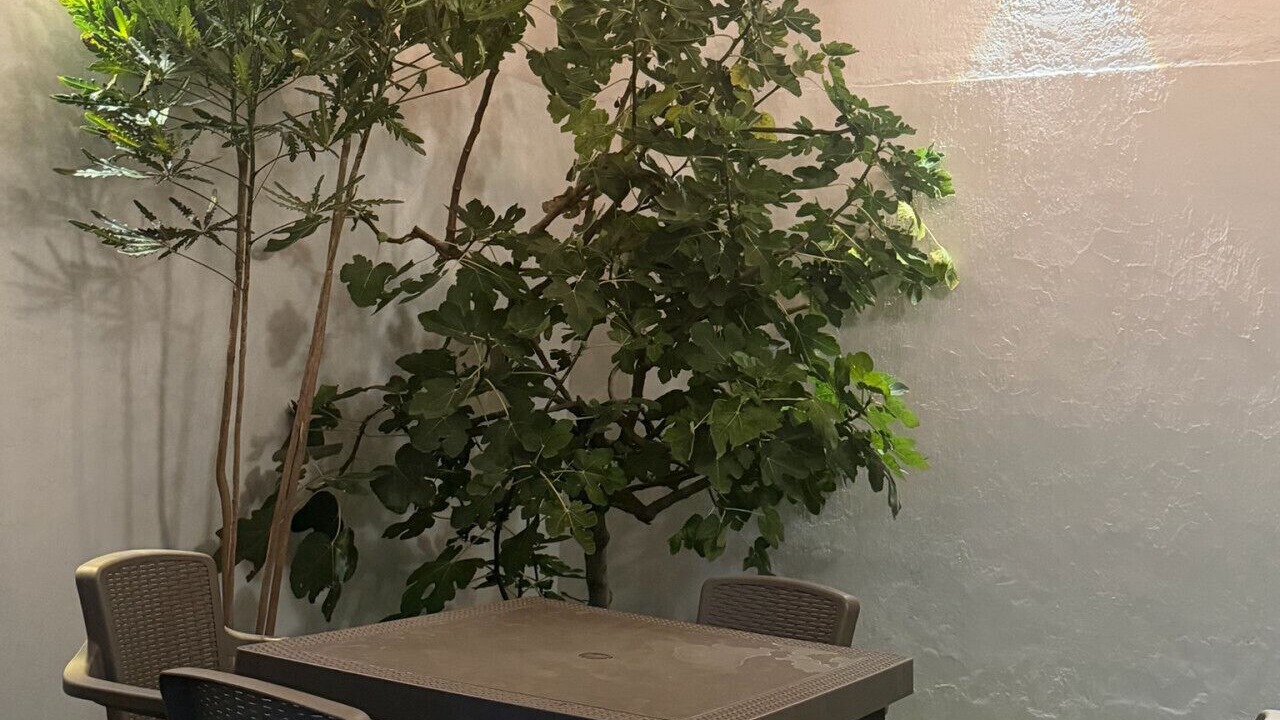 Photo of Outdoor in Zamora de Hidalgo