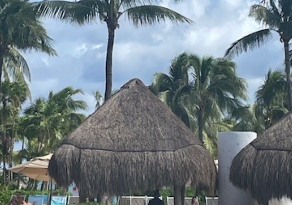 Photo of Outdoor in Villa Juarez