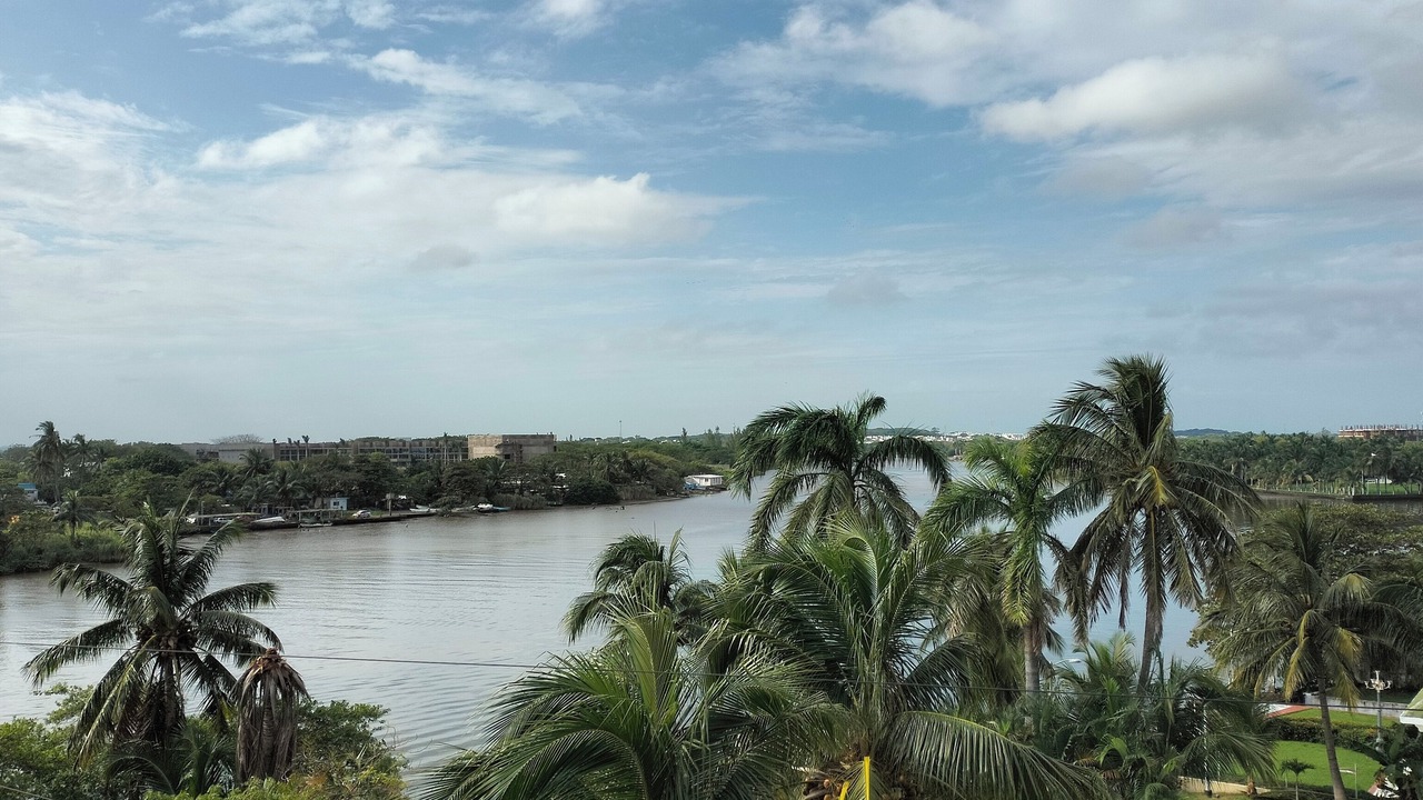 Photo of Others in Boca del Rio