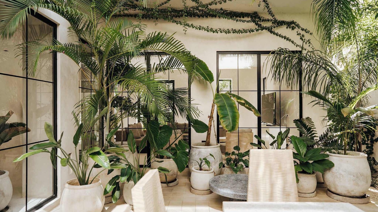 Photo of Others in Zama